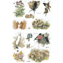 Marjolein Bastin Bird and Animal Scraps ~ England